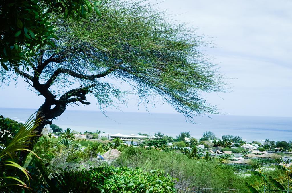 タマランFlamboyant Ocean View - Ex Hillside Havenアパートメント 部屋 写真