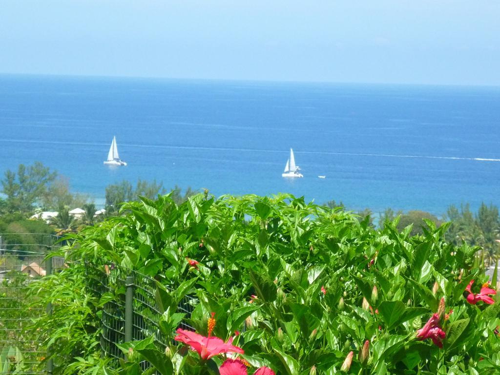 タマランFlamboyant Ocean View - Ex Hillside Havenアパートメント エクステリア 写真